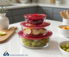 ظرف غذای سه عددی دلژین هوم کت پلاستیک 3960